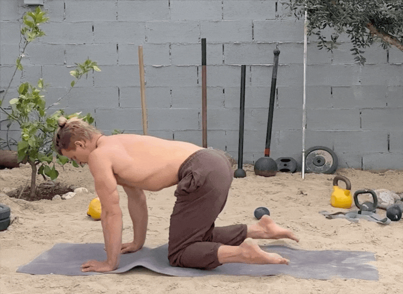 Hips External Rotation