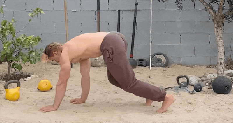 Bear Crawl