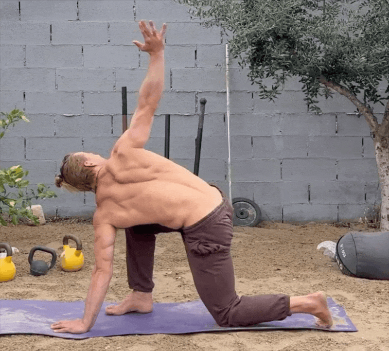 Spinal Twist