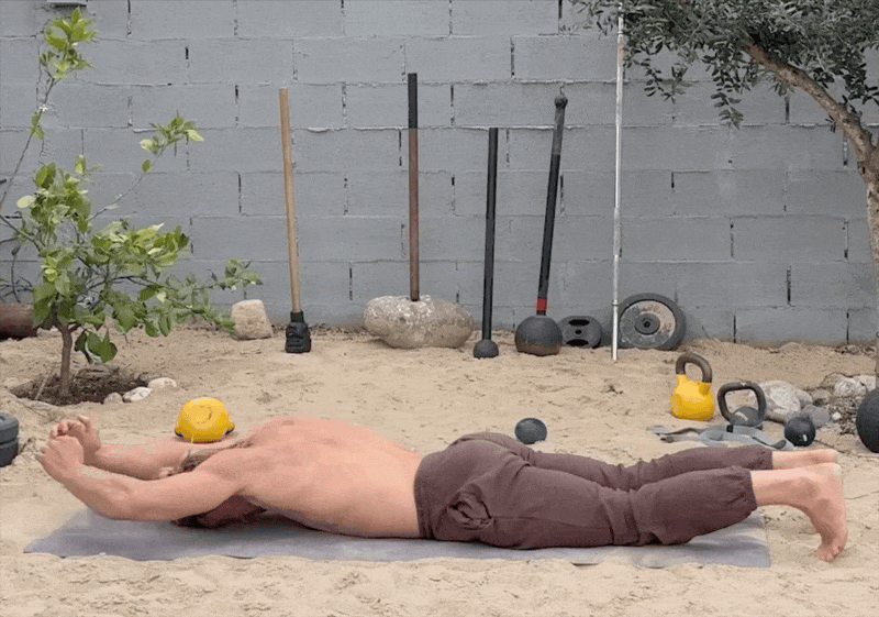 Shoulder Warmup