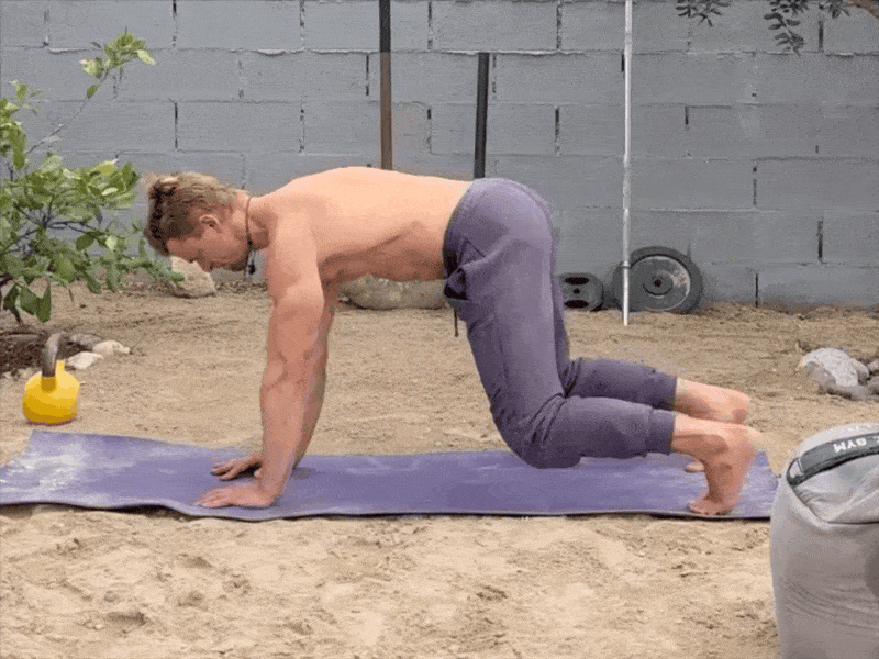 Mountain Climbers