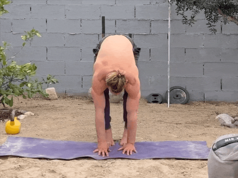 Forward Fold