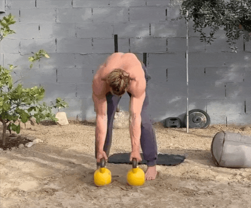 Gorilla Rows